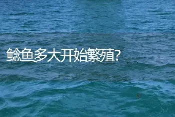 鲶鱼多大开始繁殖？