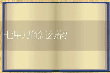 七星刀鱼怎么养？