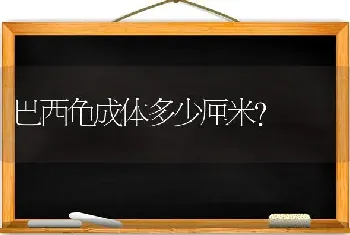 巴西龟成体多少厘米？