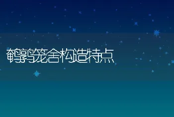 鹌鹑笼舍构造特点