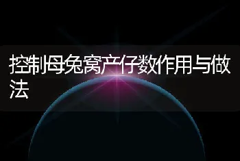 控制母兔窝产仔数作用与做法