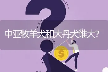 中亚牧羊犬和大丹犬谁大？