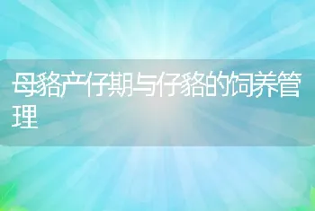 母貉产仔期与仔貉的饲养管理