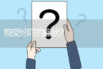 狗受惊吓的症状？