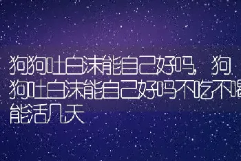 狗狗吐白沫能自己好吗，狗狗吐白沫能自己好吗不吃不喝能活几天