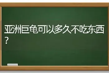 形容猫毛的名字？