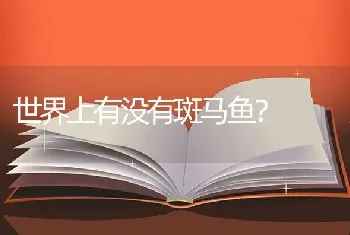 古典罗汉鱼怎么养才漂亮？