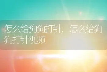 怎么给狗狗打针，怎么给狗狗打针视频