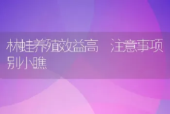 林蛙养殖效益高 注意事项别小瞧