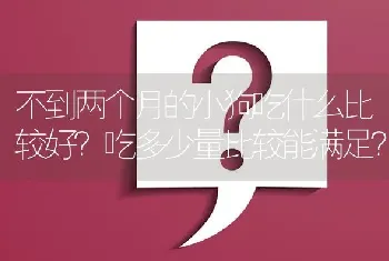 不到两个月的小狗吃什么比较好？吃多少量比较能满足？