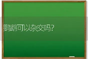 鹦鹉可以杂交吗？