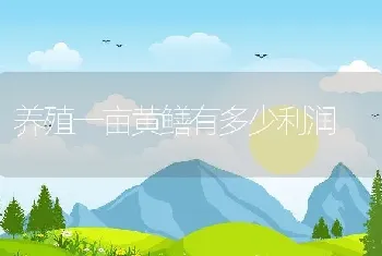 养殖一亩黄鳝有多少利润