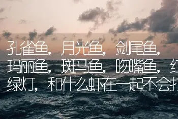 孔雀鱼，月光鱼，剑尾鱼