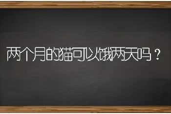 两个月的猫可以饿两天吗？