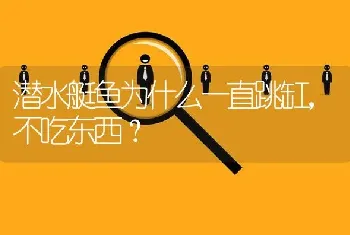 潜水艇鱼为什么一直跳缸，不吃东西？