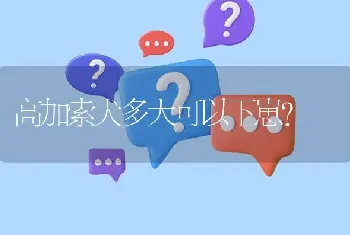 高加索犬多大可以下崽？