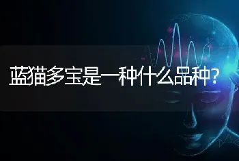 玩俄罗斯方块是什么梗？