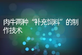 肉牛两种补充饲料的制作技术
