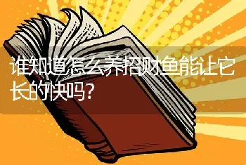 谁知道怎么养招财鱼能让它长的快吗？