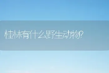 桂林有什么野生动物？