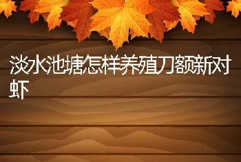 淡水池塘怎样养殖刀额新对虾