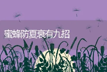 蜜蜂防夏衰有九招