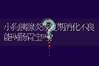 小狗胰腺炎恢复期消化不良能喝肠胃宝吗？