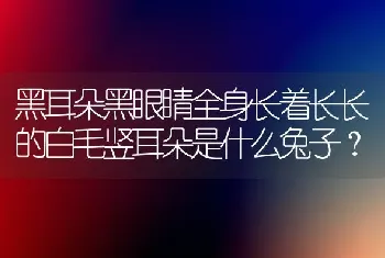 黑耳朵黑眼睛全身长着长长的白毛竖耳朵是什么兔子？