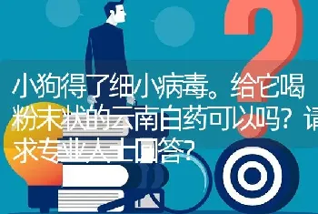 小狗得了细小病毒。给它喝粉末状的云南白药可以吗？请求专业人士回答？