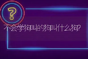 不会学狗叫的狗叫什么狗？