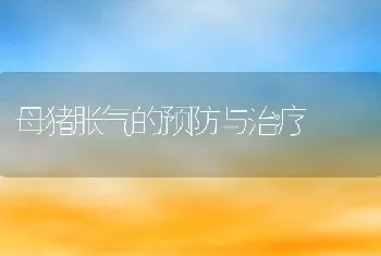 母猪胀气的预防与治疗