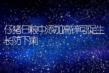 仔猪日粮中添加高锌可促生长防下痢