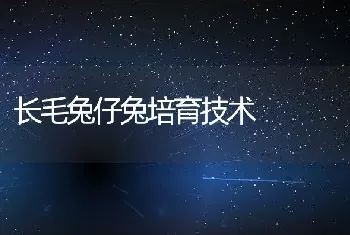 长毛兔仔兔培育技术