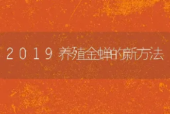 2019养殖金蝉的新方法