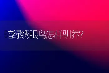 暗绿绣眼鸟怎样驯养？