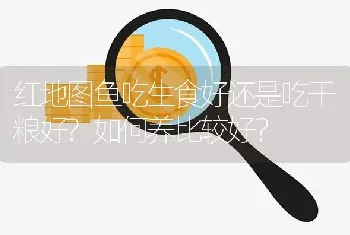 红地图鱼吃生食好还是吃干粮好？如何养比较好？