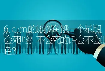 6cm的地图鱼饿一个星期会死吗？不会死的话会不会退色？