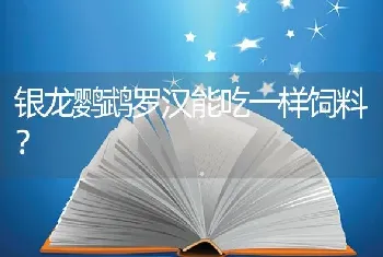 银龙鹦鹉罗汉能吃一样饲料？