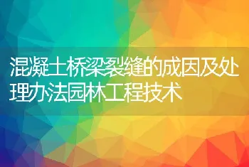 混凝土桥梁裂缝的成因及处理办法园林工程技术