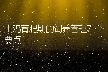 土鸡育肥期的饲养管理7个要点