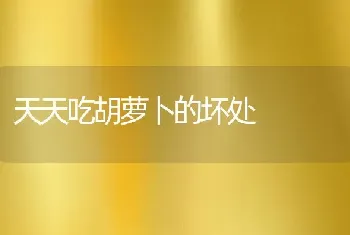 仓鼠不喝水怎么办，仓鼠不喝水怎么办但会吃东西