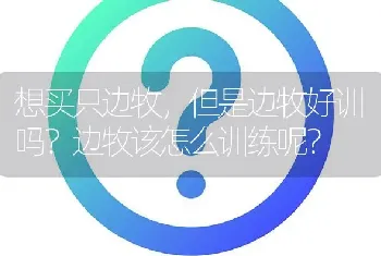 柯基身子长是不是不纯？