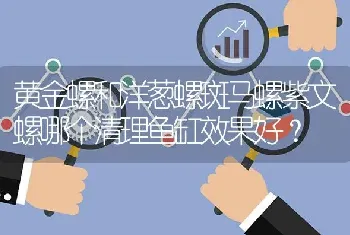 黄金螺和洋葱螺斑马螺紫文螺哪个清理鱼缸效果好？