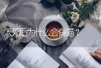 人死后为什么会有猫？