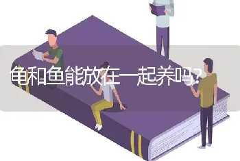 龟和鱼能放在一起养吗？