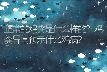 正常的鸡粪是什么样的？鸡粪异常预示什么鸡病？