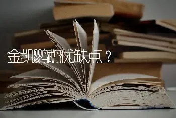 金凯鹦鹉优缺点？