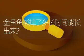 金鱼鱼鳞掉了多长时间能长出来？