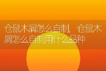 仓鼠木屑怎么自制，仓鼠木屑怎么自制用什么品种