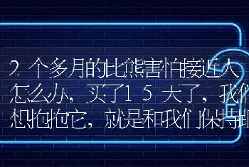 2个多月的比熊害怕接近人怎么办，买了15天了，我们想抱抱它，就是和我们保持距离不让我们摸它？